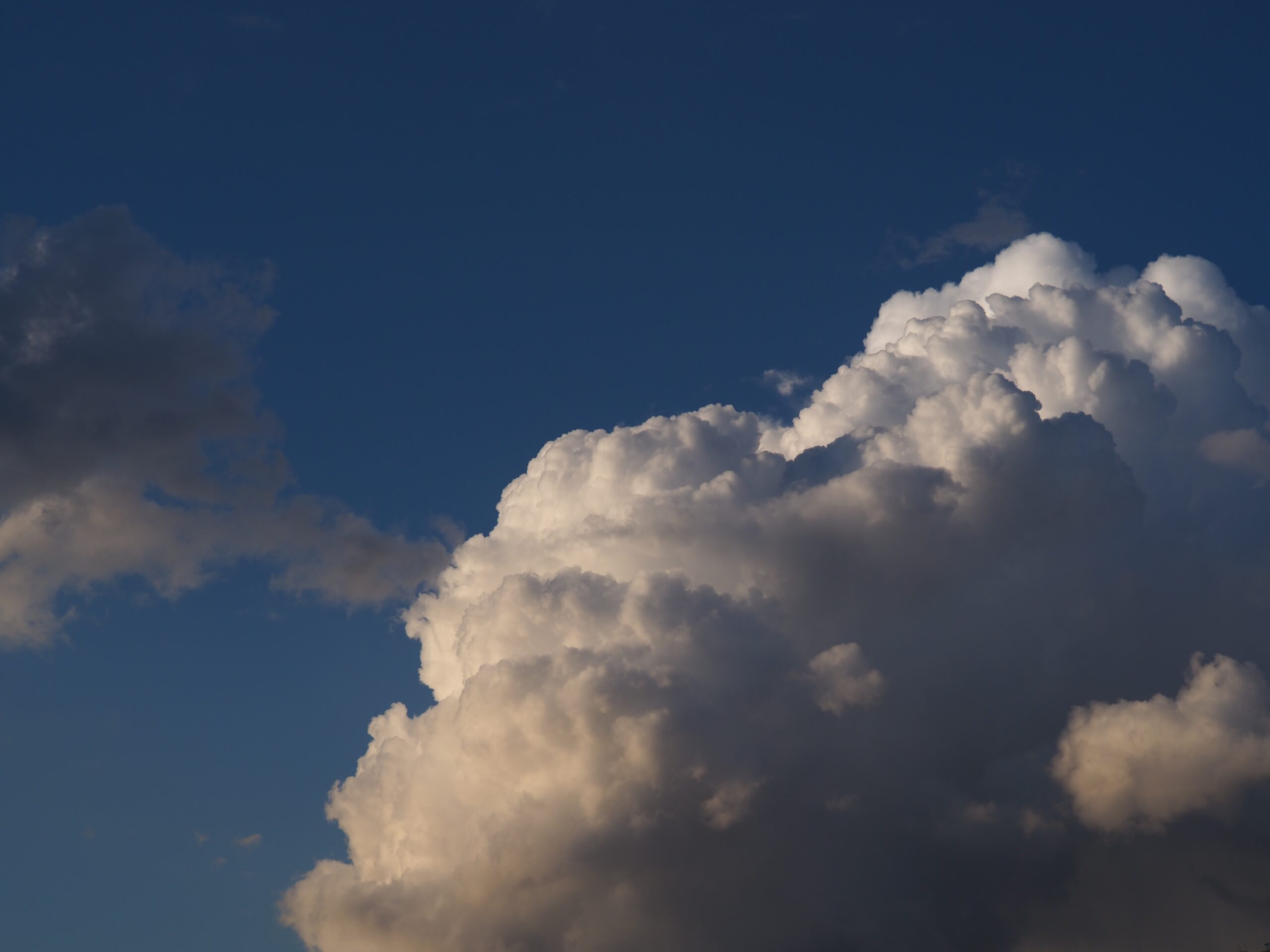 Cloud security in health services