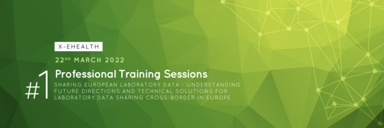 Professional Training Sessions