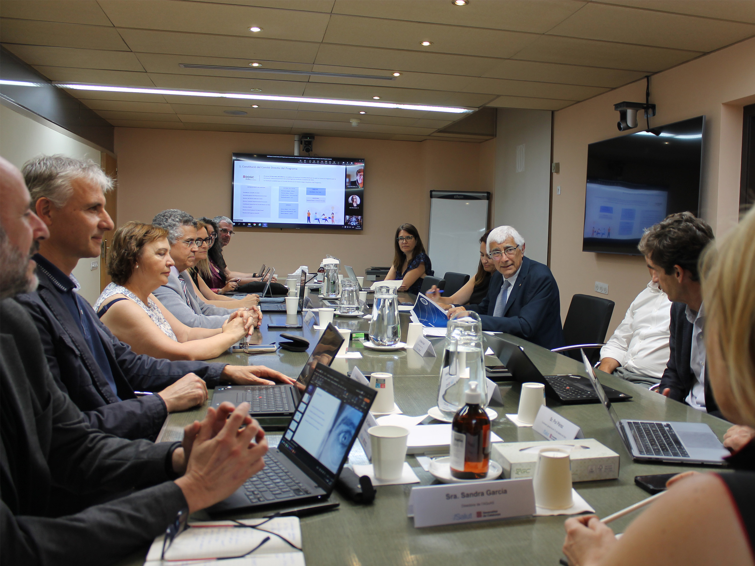 Reunió Comitè Directiu Programa Salut IA