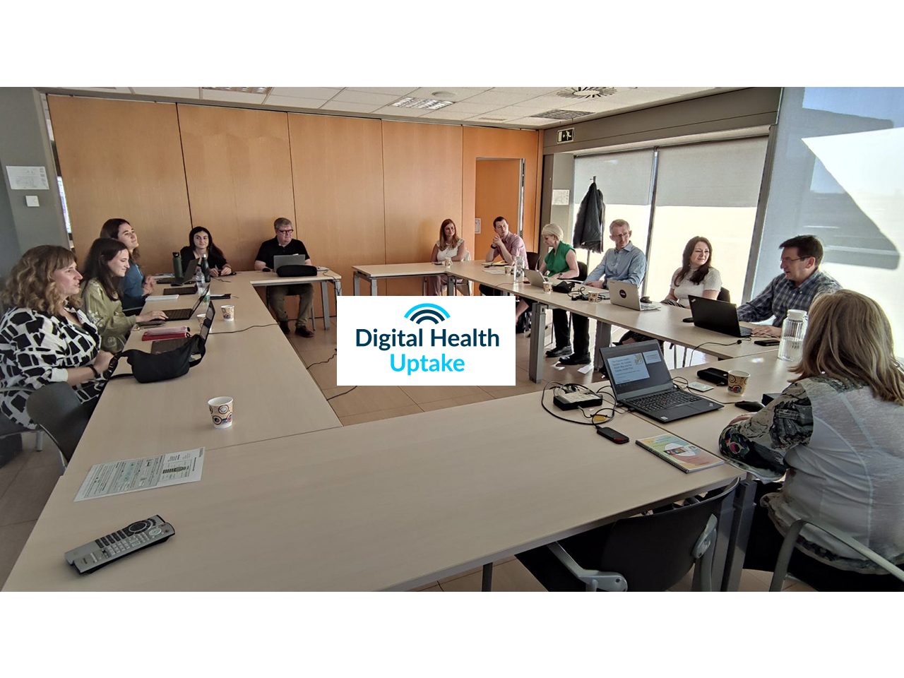twinning bones pràctiques en atenció integrada social i sanitària