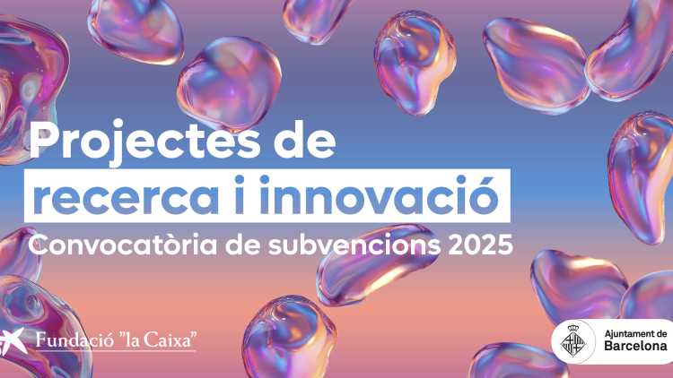 projectes innovació subvenció la caixa